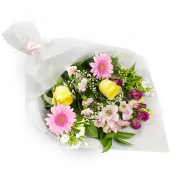 Aerodromion cvijeća- Sunčano cvijeće Cvijet Isporuke