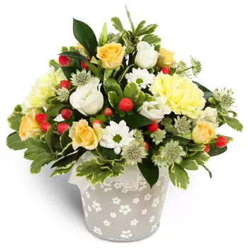Агиос Стефанос цветя- Ежедневни цветя Цвете Доставка