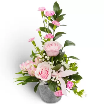 Агридион цветя- Обвързан с Щастието Цвете Доставка