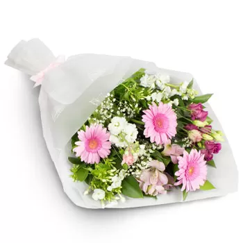 Agkidia Blumen Florist- Sommer Sonnenschein Blumen Lieferung