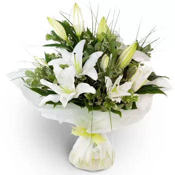 flores de Agios Germanos- Um novo dia Flor Entrega