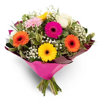 Amari cvijeća- Svježi osjećaji Cvijet Isporuke