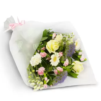 Aigeiros cvijeća- Pozitivne vibracije Cvijet Isporuke