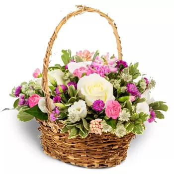 بائع زهور أجيوس جرمانوس- بداية سعيدة زهرة التسليم