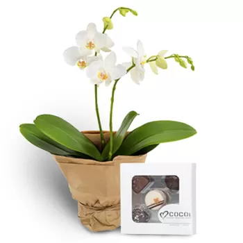 Bergen Florarie online - Sweet Delight și orhidee albă Buchet