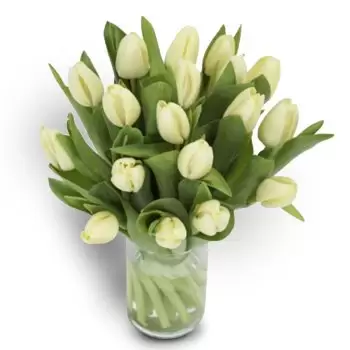 fiorista fiori di Oslo- Tulipani bianchi senza tempo Fiore Consegna