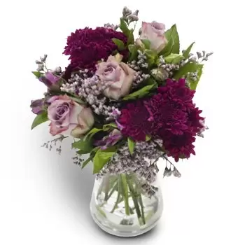 Гамвик цветя- Жива лилава хармония Цвете Доставка