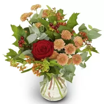 אוסלו פרחים- הרמוניה כתומה פרח משלוח