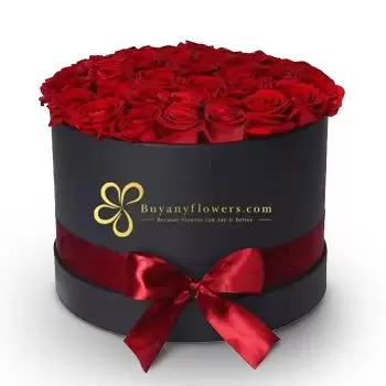 Al Darbijaniyah flowers  -  Absolutely Gorgeous  Flower Delivery