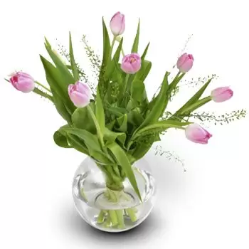 بائع زهور تروندهايم- توليب ديلايت باقة الزهور