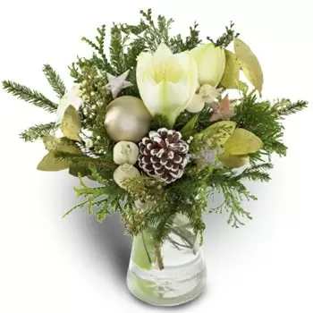 Oslo Blumen Florist- Winterwunder