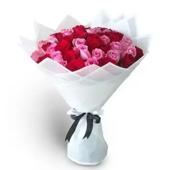 flores de Abu Dhabi- amor triunfante Flor Entrega