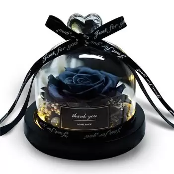 Ghadir Barashy-virágok- Fekete tartósított rózsa Virág Szállítás