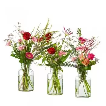 flores Boskamp floristeria -  sorpresa de san valentin Ramos de  con entrega a domicilio