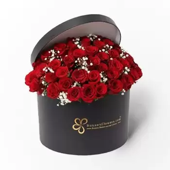 Abu Dhabi blomster- Stråle af kærlighed Blomst buket/Arrangement