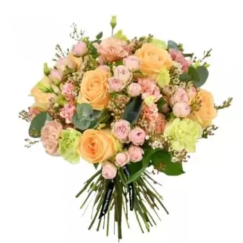 Abbess Beauchamp וברנרס רודינג פרחים- אפרסק פסיון פרח משלוח