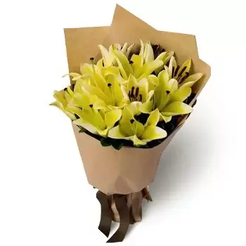 ZJEDNOCZONE EMIRATY ARABSKIE kwiaty- Słoneczny blask Kwiat Dostawy
