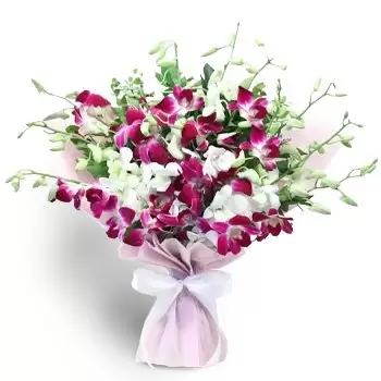 Ash-Sharqi kwiaty- Śliczne Orchidee Kwiat Dostawy