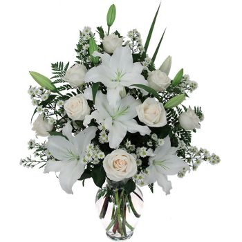 Lilien Blumen Lieferung Blumenlieferungen Zypern Online Blumenhandler Zypern