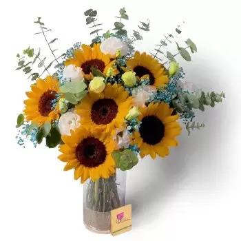 Ar-Rumailah 2 Blumen Florist- Gelbe und weiße Knospen Blumen Lieferung