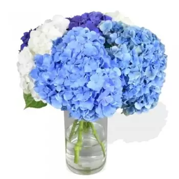 אדלינגטון ואנדרטון פרחים- יופי מסמיק פרח משלוח