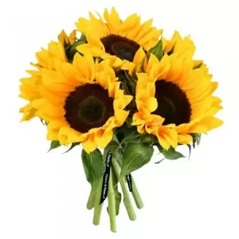 flores Alstonefield floristeria -  Sonrisas soleadas Ramos de  con entrega a domicilio