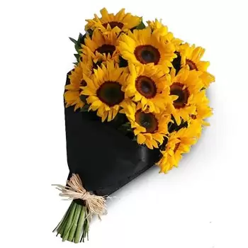 fiorista fiori di Al-Qiṭa 4- Scoppio di sole Fiore Consegna