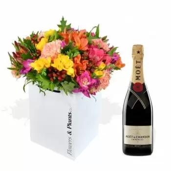 Abbeydale flowers  -  Bright Lights and Moet Flower Delivery