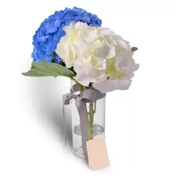 Al-Qiṭa 4 blomster- Kul blå Blomst Levering