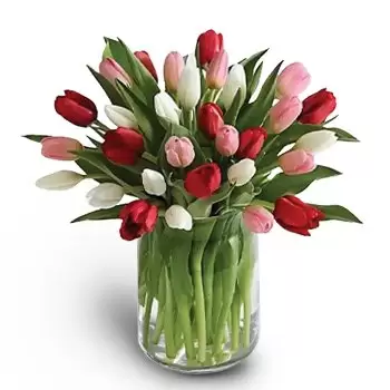 Al-Yufrah 4 bloemen bloemist- Geluk Bloem Levering