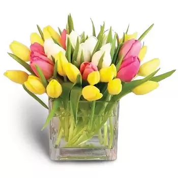 שארג'ה פרחים- זר צהוב זר פרחים/סידור פרחים