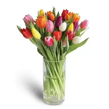 Al Jurainah 1 flowers  -  Sunshine Flower Delivery