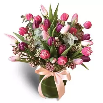 Dubain mediakaupunki Online kukkakauppias - nuorekas eloisuus Kimppu