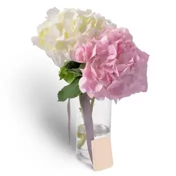 אבו דאבי חנות פרחים באינטרנט - תתעודד זר פרחים