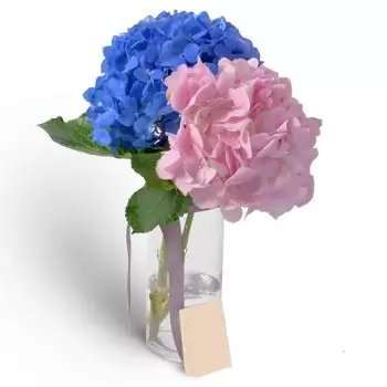 flores de Industrial Area 18- Corar-me Flor Entrega