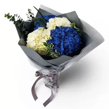 Al-Qiṭa 9 kwiaty- niebieski spokój Kwiat Dostawy