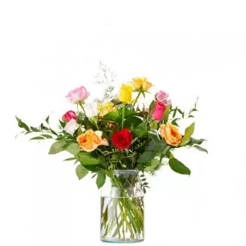 Dedemsvaart פרחים- אני נותן לך ורד פרח משלוח