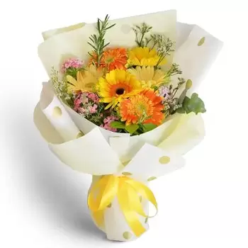 Jazirat Jumira 2 flori- Bright Harvest Floare Livrare