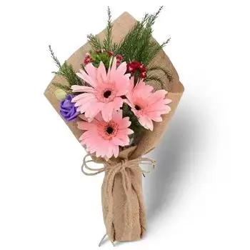 flores de Al-Qiṭa 2- Pétalas Rosadas Flor Entrega