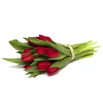 בולונה פרחים- לאהבה פרח משלוח
