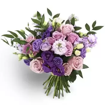 flores de Mowailah Commercial, Moweilah, Muwailah, Muweilah, Mowaileh, Muwaileh, Muweileh- romance roxo Flor Entrega