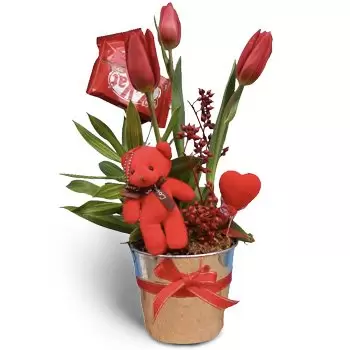 Zahle Blumen Florist- Rote Berührung Blumen Lieferung
