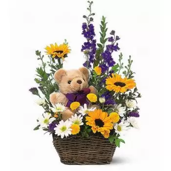 بائع زهور فولين- سلة الدب زهرة التسليم