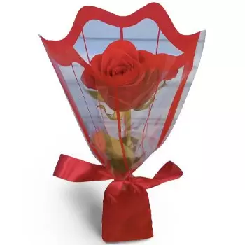 ראודה פרחים- מתנה אדומה פרח משלוח