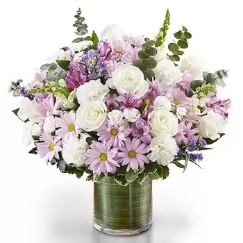 بائع زهور أبو ظبي- تزهر الجمال زهرة التسليم