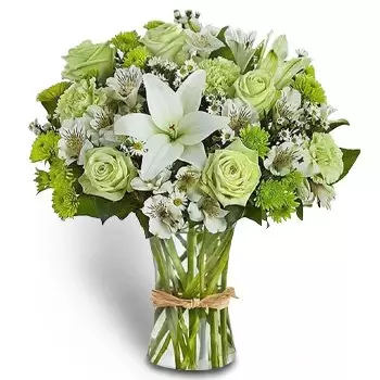 flores Dubai media city floristeria -  Frescura Ramos de  con entrega a domicilio