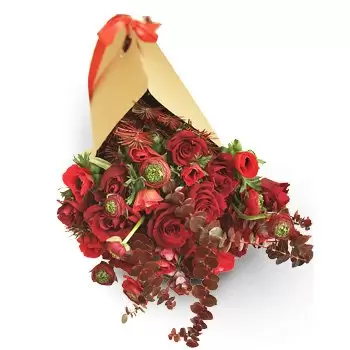 ג'וניה פרחים- דוֹר פרח משלוח