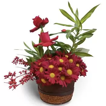 flores Qubayyat floristeria -  Amor puro Ramos de  con entrega a domicilio
