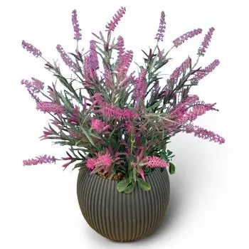 flores Horech Tabet floristeria -  Arreglo 2 Ramos de  con entrega a domicilio
