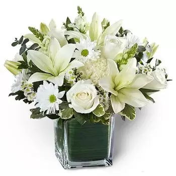 Bu Kadra flowers  -  Blooming Joy Flower Delivery
